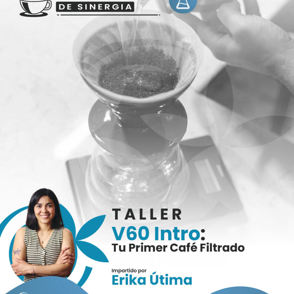 TALLER: V60 Intro:Tu Primer Café Filtrado