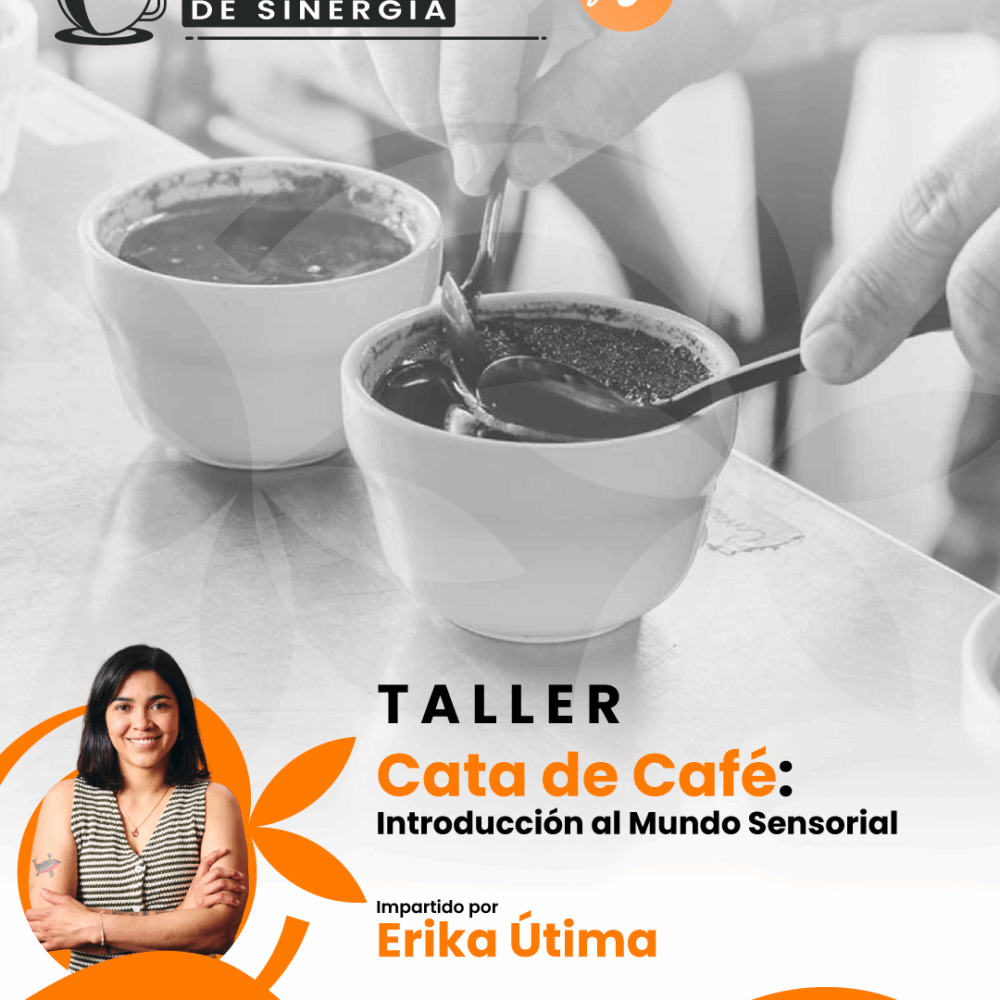 TALLER: Cata de Café: Introducción al Mundo Sensorial