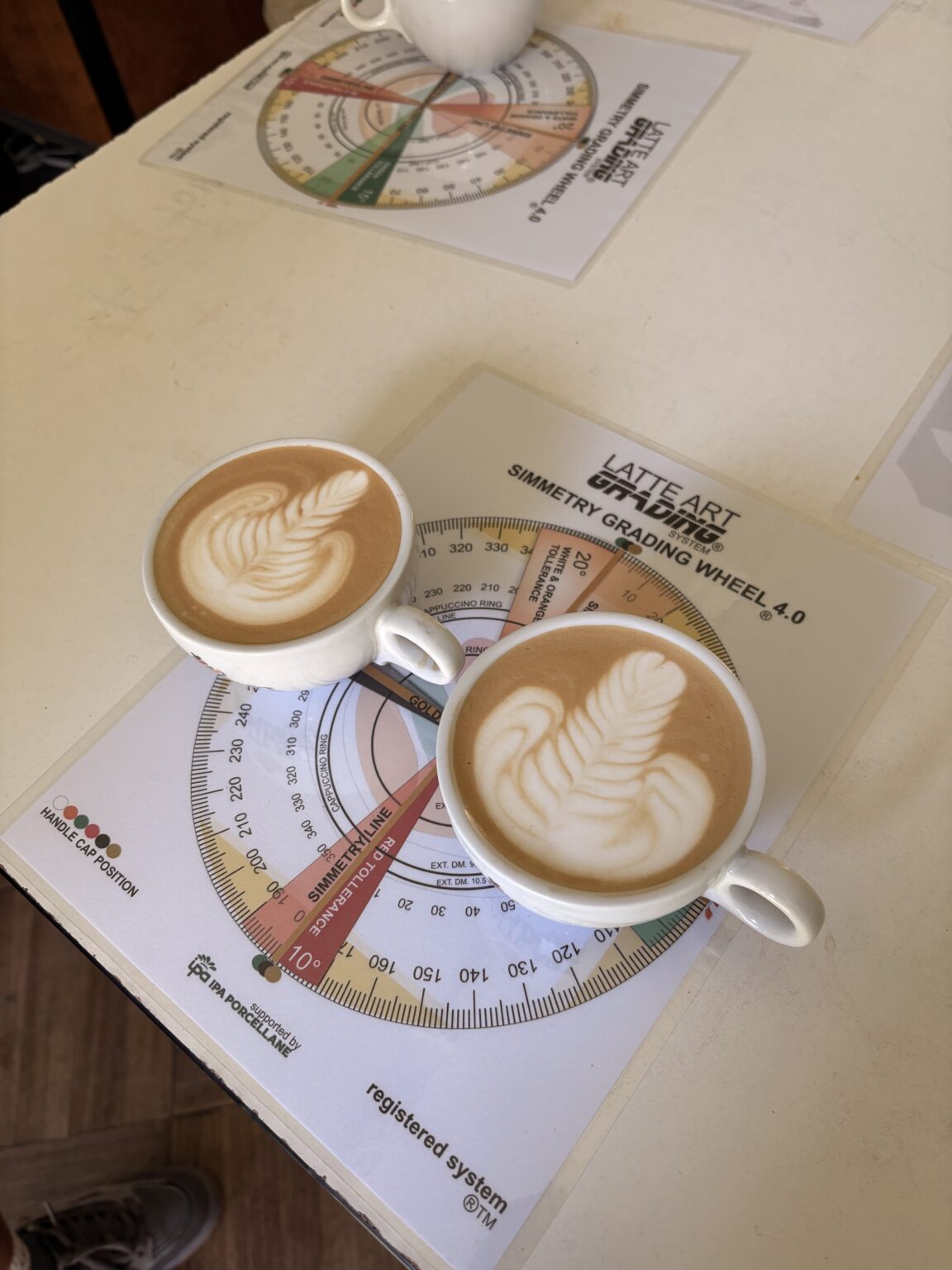 Curso Barista SCA fundación en Chile Sinergia Lab