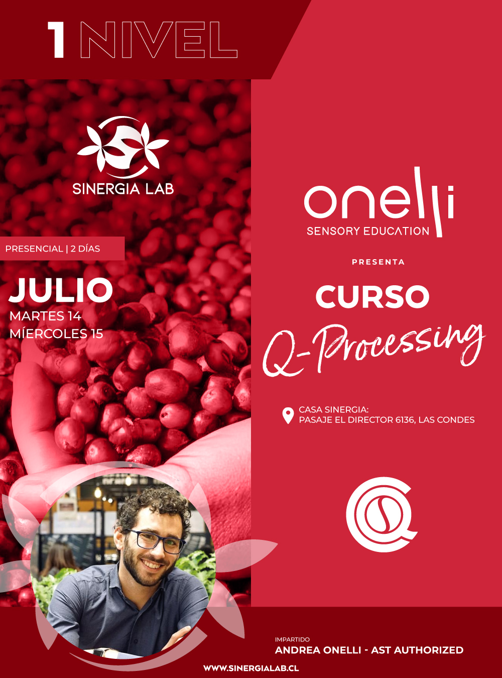 Curso Q-processing 1 Chile | Julio
