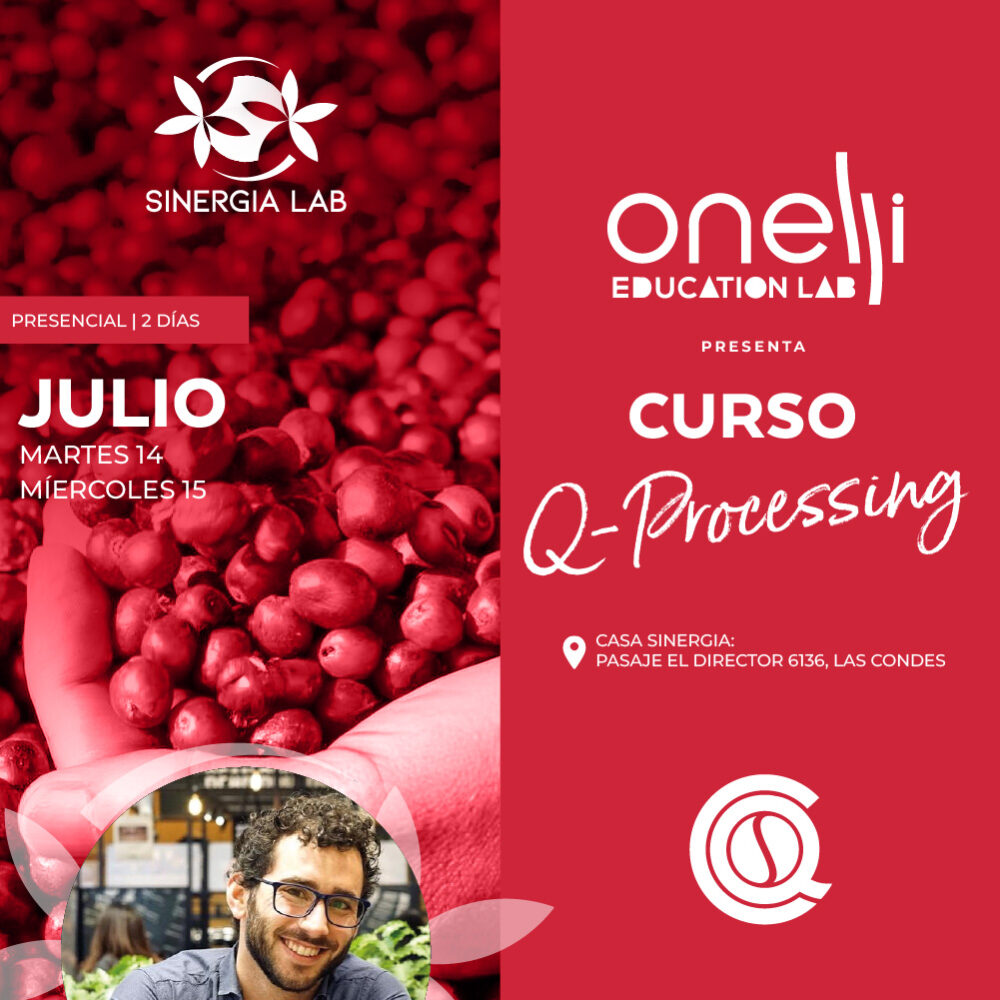 Curso Q-processing 1 Chile | Julio