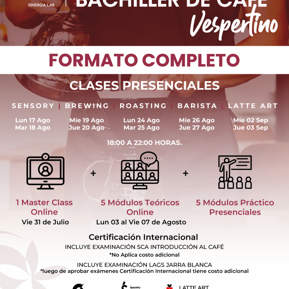 Bachiller de Café Vespertino - Formato Completo Agosto 2026